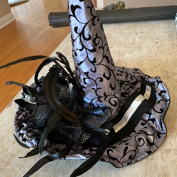 Spider Witch hat. Silver and blk. Large Halloween hat - Picture 1 of 7